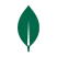 MongoDB